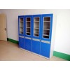 個(gè)性理化生實(shí)驗(yàn)室儀器柜藥品柜，遠(yuǎn)誠，福州具有口碑的理化生實(shí)驗(yàn)室儀器柜企業(yè)