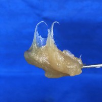 多功能鋰基潤滑脂 鋰基黃油 鋰基脂